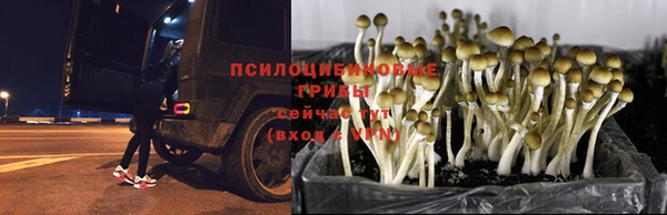 кристаллы Богородицк