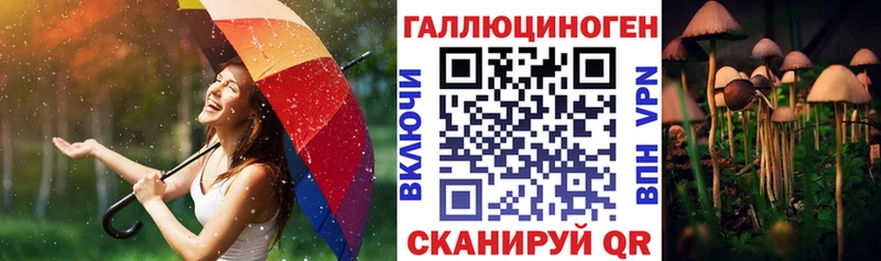 Псилоцибиновые грибы мухоморы  omg tor  Юхнов 