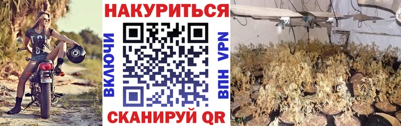 купить наркотик  Юхнов  Бошки марихуана SATIVA & INDICA 